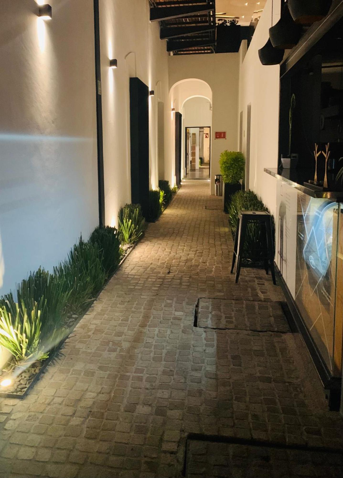 Hotel Boutique Mo17 Querétaro Eksteriør bilde